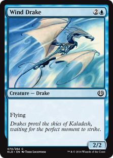 (image for) Wind Drake
