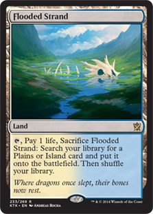 (image for) Flooded Strand (Foil)