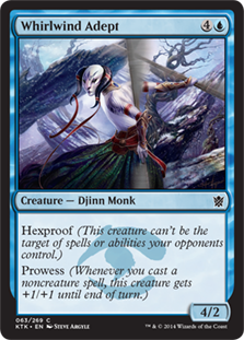 (image for) Whirlwind Adept (Foil)