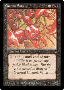 (image for) Carrion Ants