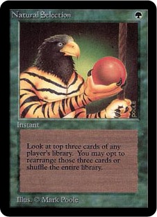(image for) Natural Selection