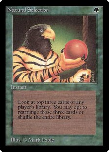 (image for) Natural Selection