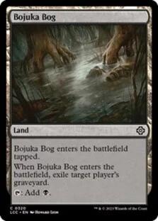 (image for) Bojuka Bog