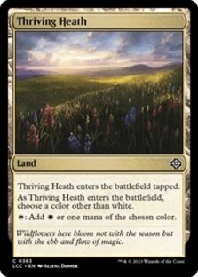(image for) Thriving Heath