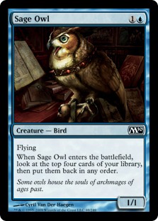 (image for) Sage Owl