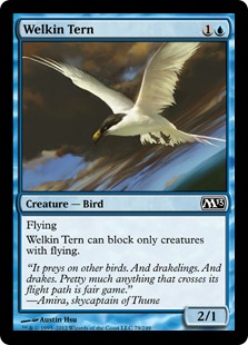 (image for) Welkin Tern