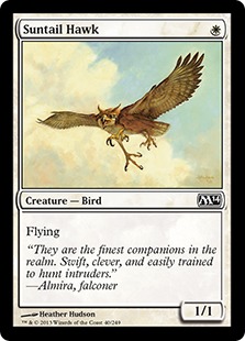 (image for) Suntail Hawk