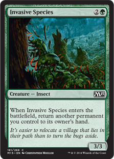 (image for) Invasive Species