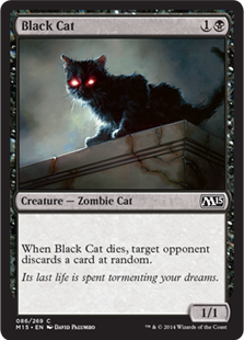(image for) Black Cat (Foil)