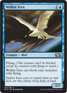 (image for) Welkin Tern (Foil)