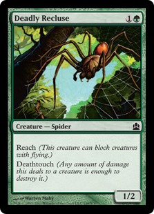 (image for) Deadly Recluse
