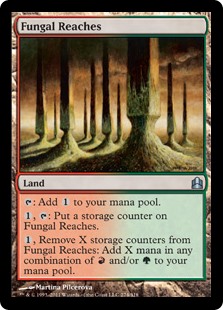 (image for) Fungal Reaches