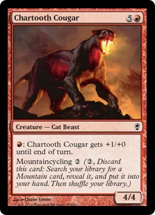 (image for) Chartooth Cougar