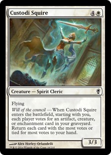 (image for) Custodi Squire