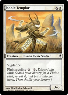 (image for) Noble Templar