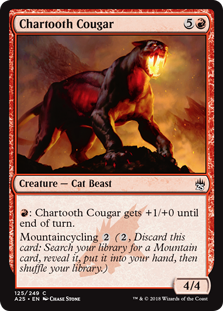 (image for) Chartooth Cougar