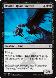 (image for) Death's-Head Buzzard