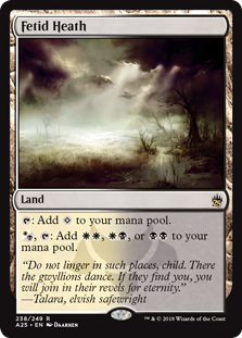 (image for) Fetid Heath