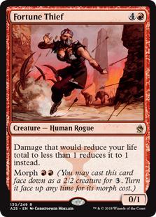 (image for) Fortune Thief