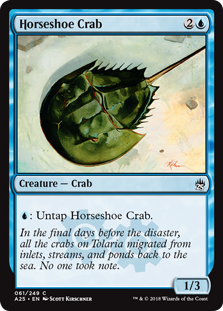 (image for) Horseshoe Crab