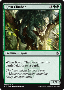 (image for) Kavu Climber
