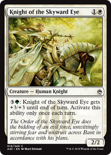 (image for) Knight of the Skyward Eye