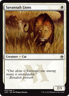 (image for) Savannah Lions