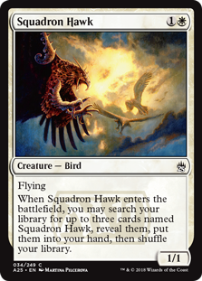 (image for) Squadron Hawk