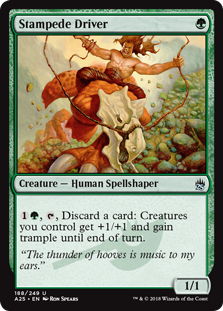 (image for) Stampede Driver
