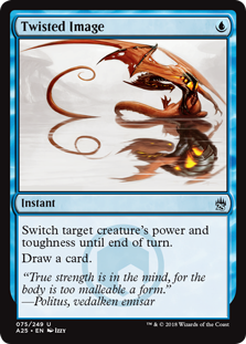 (image for) Twisted Image