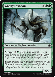 (image for) Woolly Loxodon