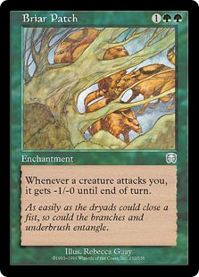 (image for) Briar Patch