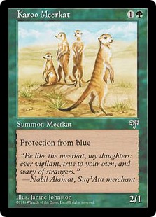 (image for) Karoo Meerkat