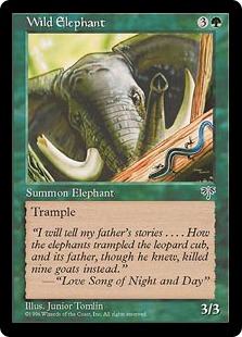 (image for) Wild Elephant