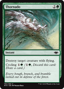 (image for) Thornado