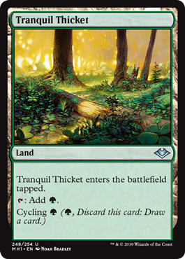 (image for) Tranquil Thicket