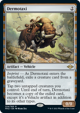 (image for) Dermotaxi