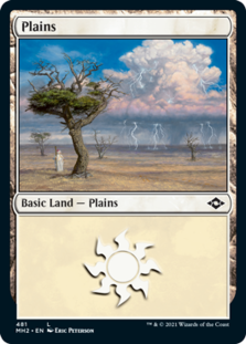 (image for) Plains (481) (Foil)
