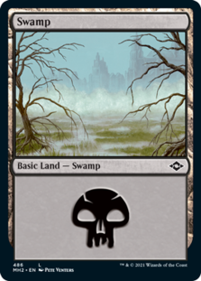 (image for) Swamp (486) (Foil)