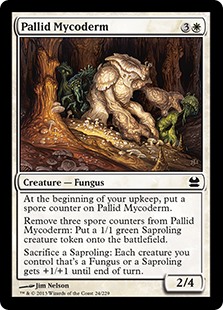 (image for) Pallid Mycoderm