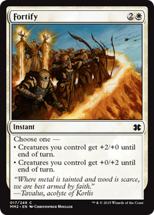 (image for) Fortify