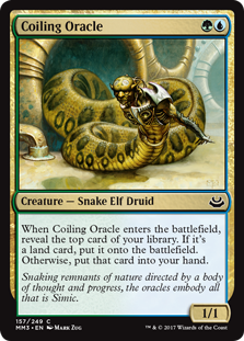 (image for) Coiling Oracle
