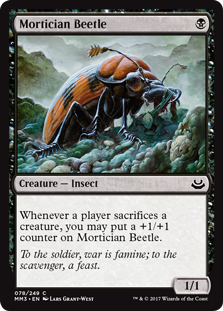 (image for) Mortician Beetle