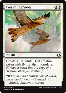(image for) Eyes in the Skies (Foil)
