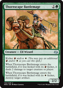 (image for) Thornscape Battlemage (Foil)