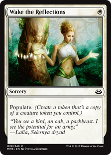 (image for) Wake the Reflections (Foil)
