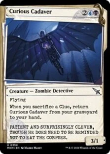 (image for) Curious Cadaver