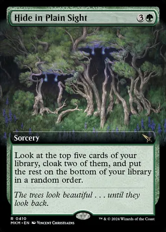 (image for) Hide in Plain Sight (Extended Art) (Foil)
