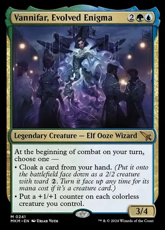 (image for) Vannifar, Evolved Enigma