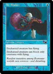 (image for) Air Bladder (Foil)